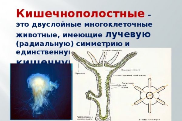 Прямая ссылка на кракен